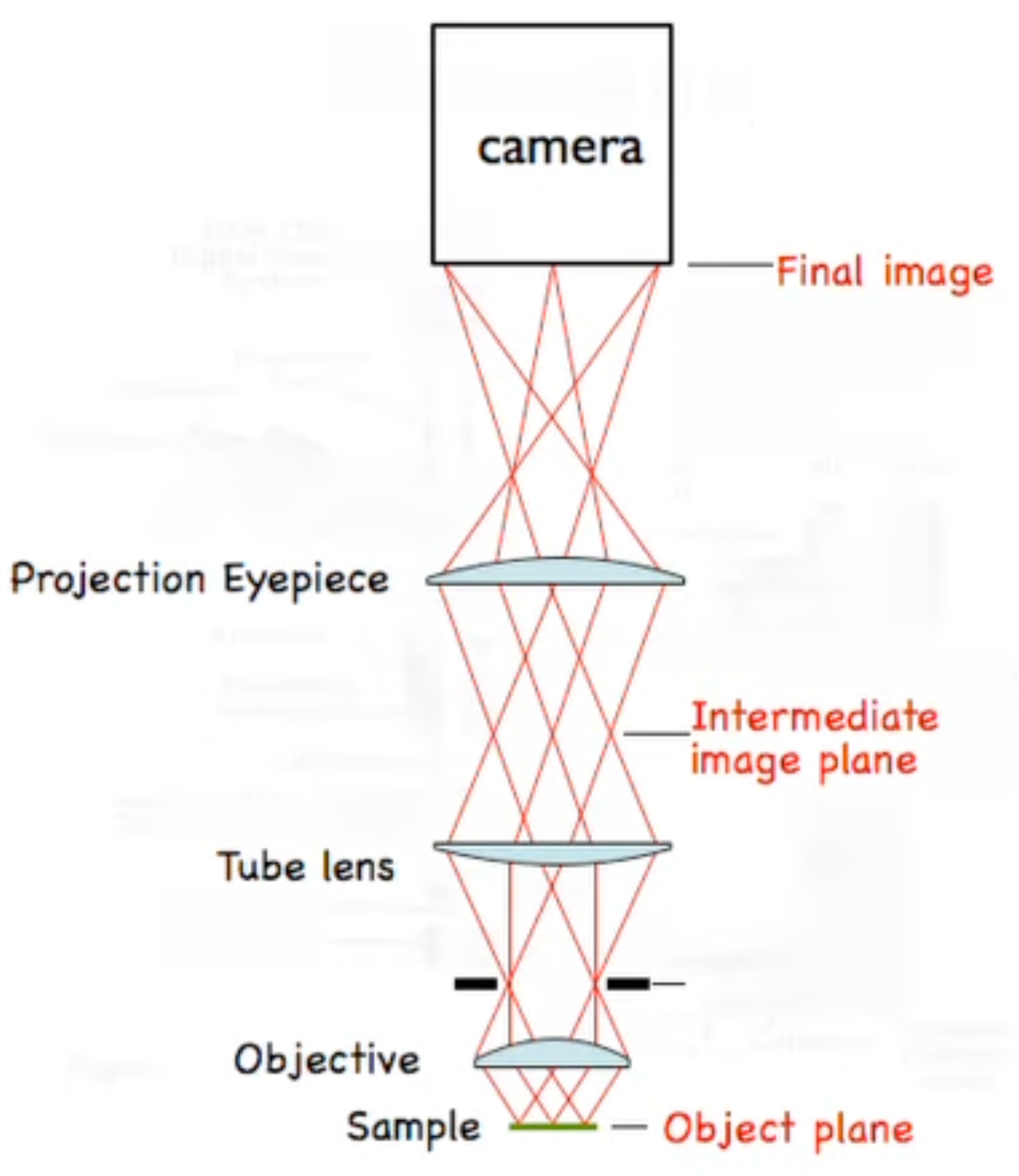 Compound-Microscope-with-Camera-index-2024-04-15-19-59-45