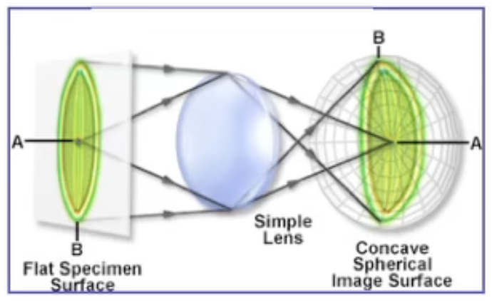 Field-Curvature-index-2024-04-16-00-13-15