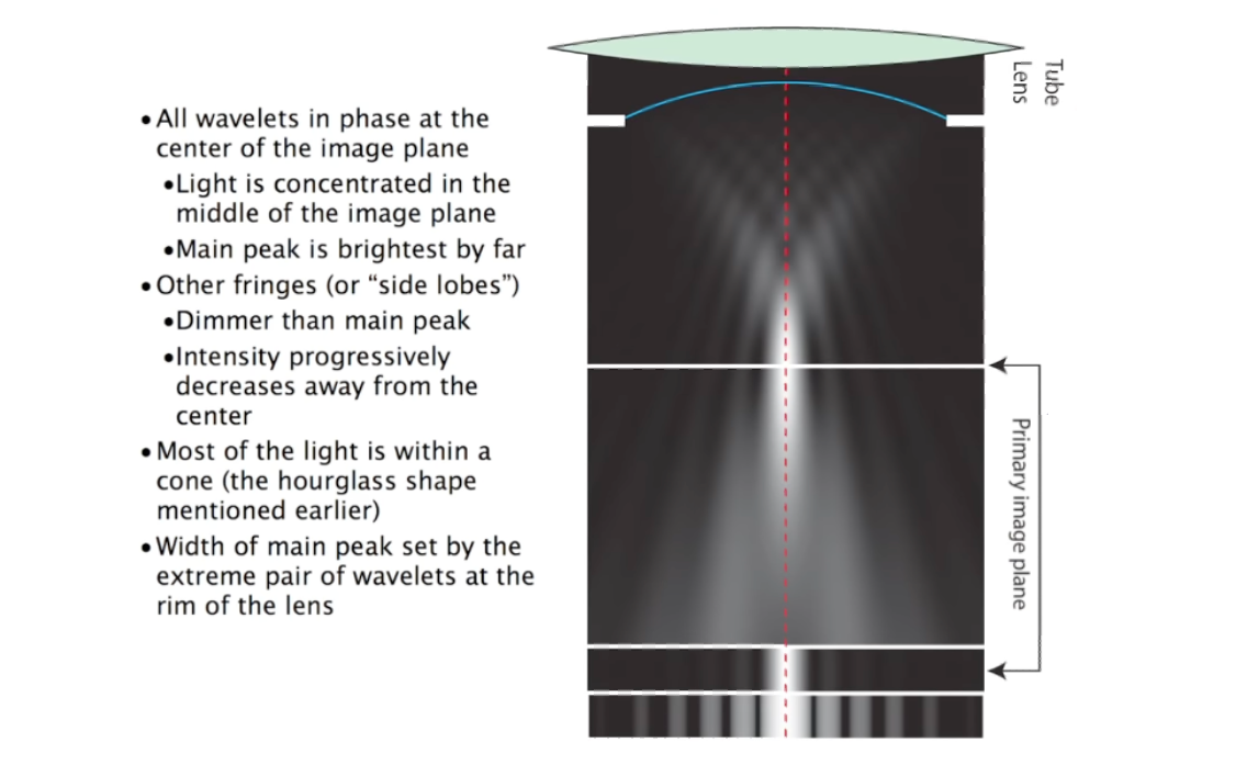 all-the-wavelets-index-2024-04-16-00-55-04