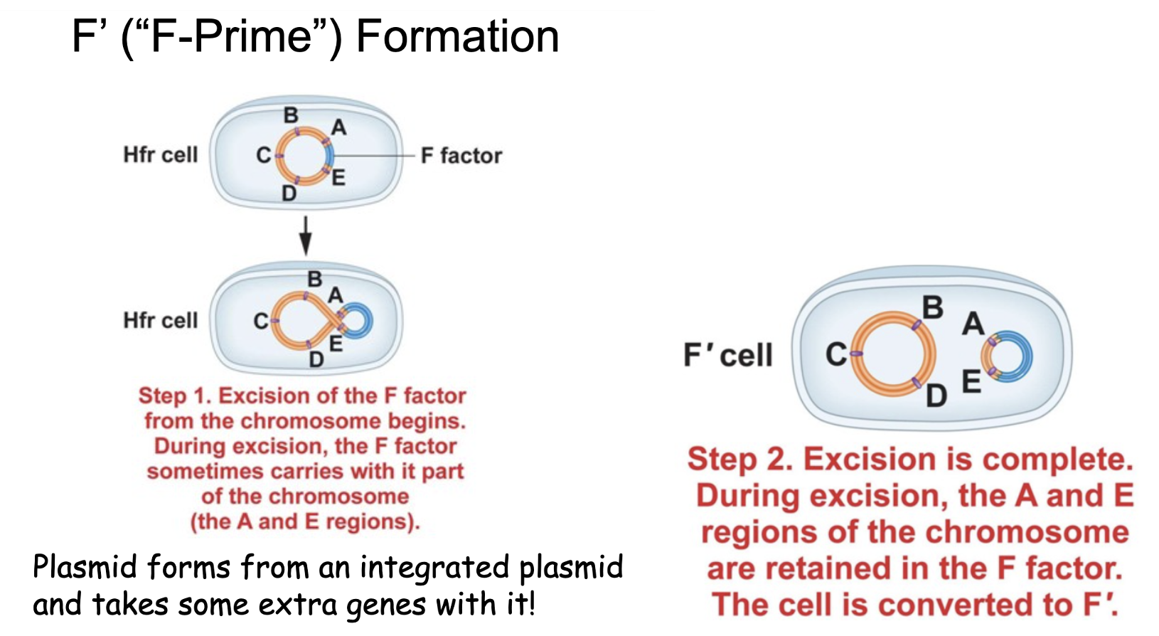 f-prime-index-2024-04-16-10-51-03