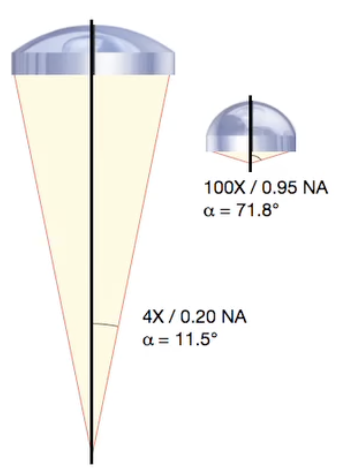 working-distance-and-NA-index-2024-04-16-00-06-46